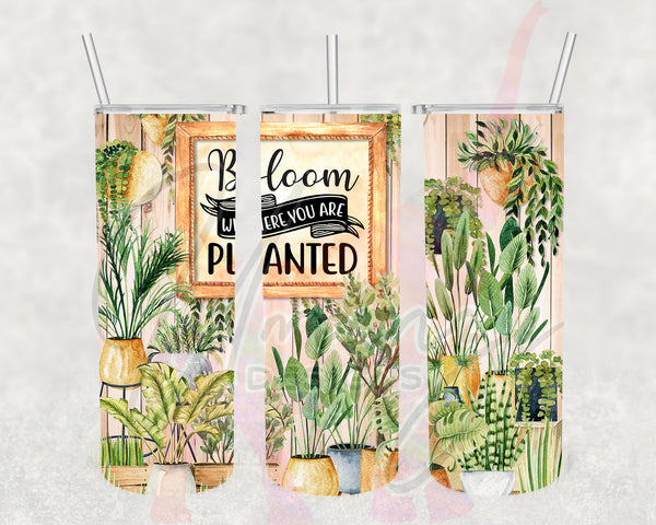 Bloom Where You Are Planted